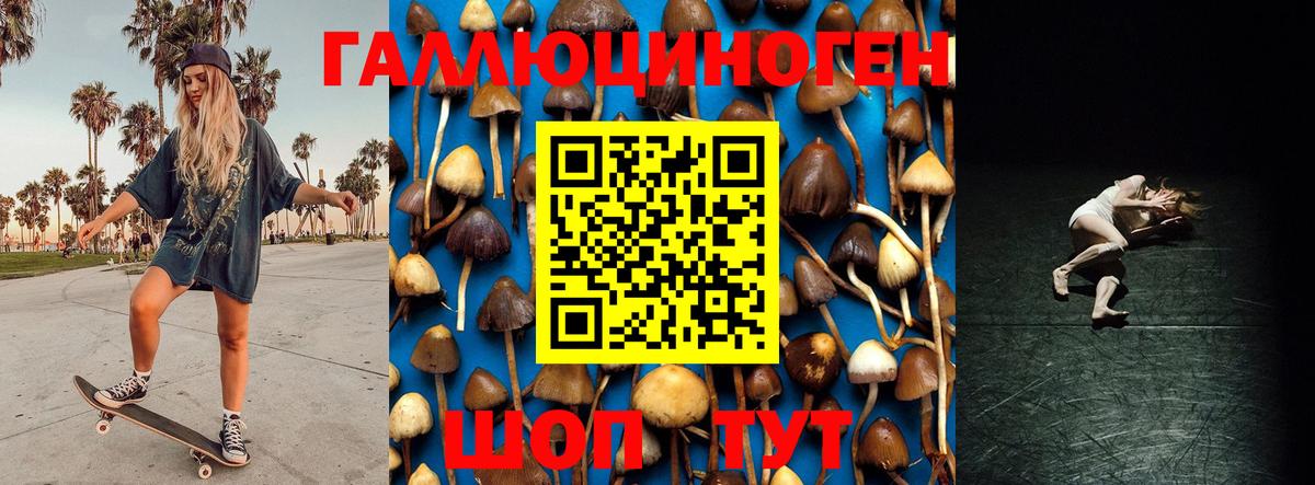 Псилоцибиновые грибы Magic Shrooms  Псилоцибиновые грибы Psilocybe  Вход с VPN  Элиста 